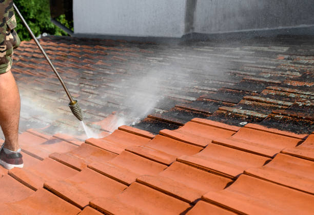 Best House Pressure Washing  in Van Wert, OH